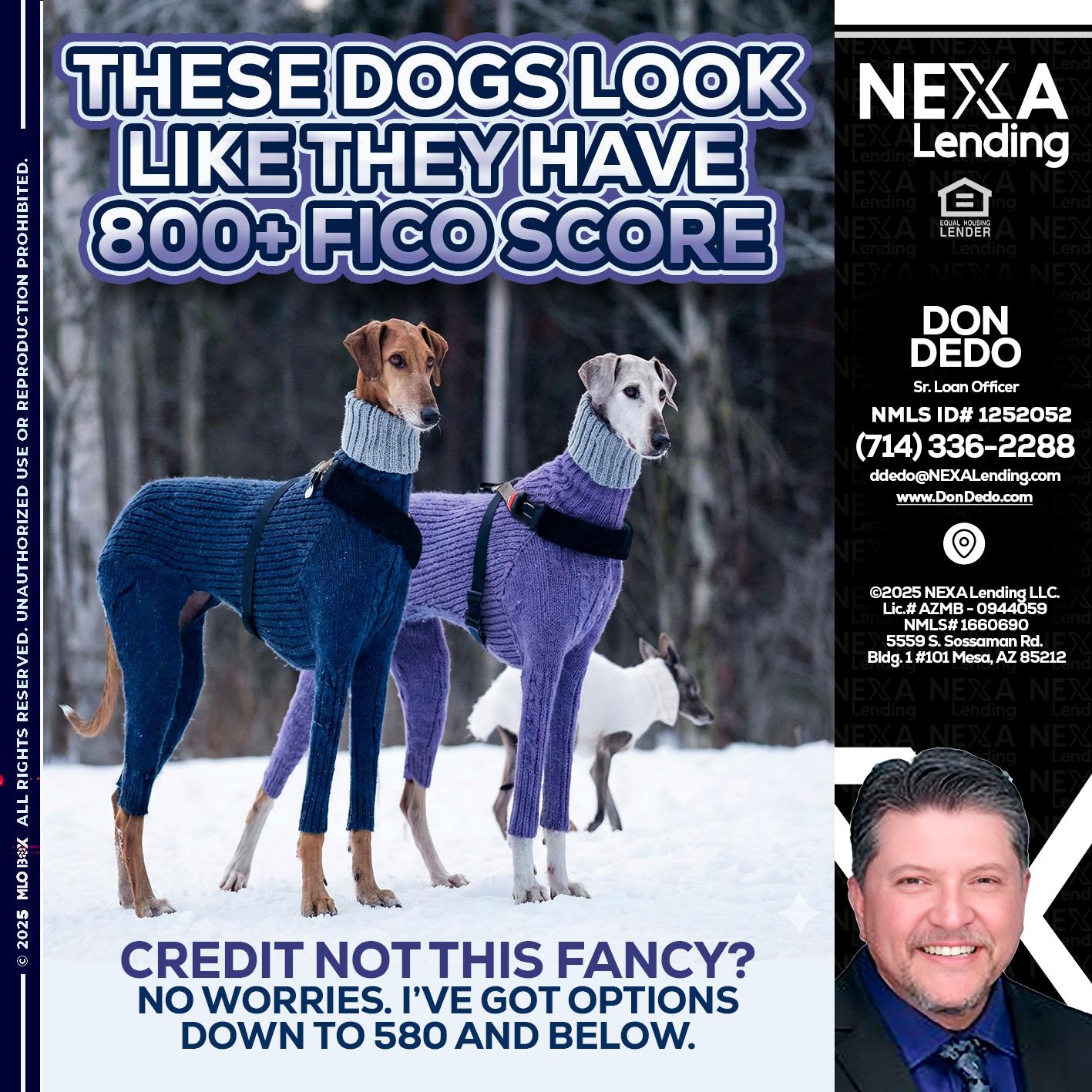 THESE DOGS LOOK - Don Dedo -Mortgage Loan Originator